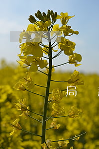 郵局貸款還不起要起訴
