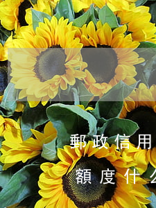 郵政信用卡4千能透支多少(郵政信用卡4萬額度什么水平)