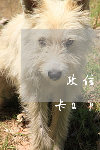 郵政信用卡APP怎么查詢逾期-郵政信用卡app怎么查詢逾期記錄