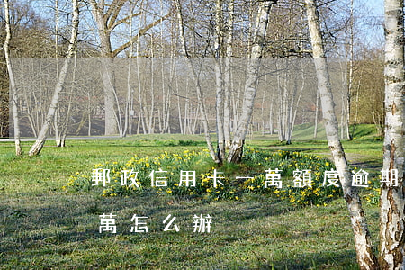 郵政信用卡一萬額度逾期 郵政銀行卡限額一萬怎么辦