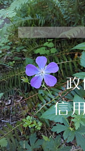 郵政信用卡不還錢(qián)怎么辦(郵政信用卡還不上怎么辦)