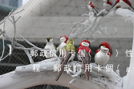 郵政信用卡個(gè)性化分期怎么辦理流程-郵政信用卡個(gè)性化分期怎么辦理流程圖
