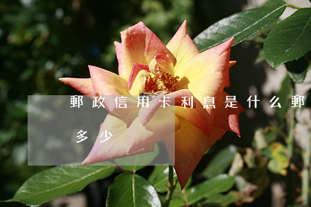 郵政信用卡利息是什么(郵政的信用卡利息是多少)