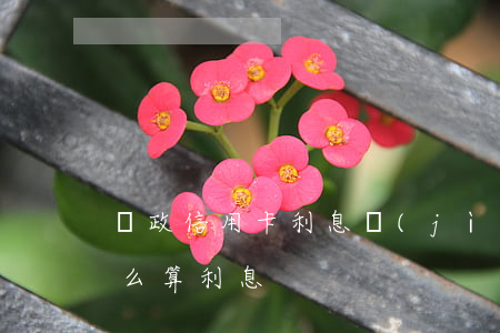 郵政信用卡利息計(jì)算(郵政卡利息怎么算利息)