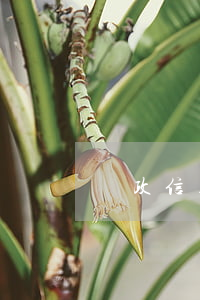 郵政信用卡協(xié)商政策