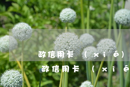 郵政信用卡協(xié)商還款電話多少-郵政信用卡協(xié)商還款電話多少號