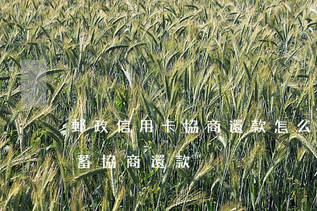 郵政信用卡協商還款怎么停息掛賬-郵政儲蓄協商還款