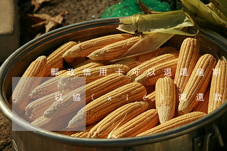 郵政信用卡可以退還逾期(郵政信用卡逾期可以協(xié)商還款嗎)