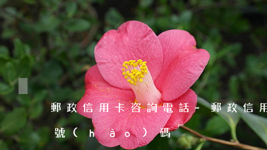 郵政信用卡咨詢電話-郵政信用卡咨詢電話號(hào)碼