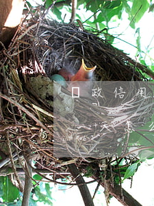 郵政信用卡多次逾期后還款(郵政還貸款逾期一天怎么辦)