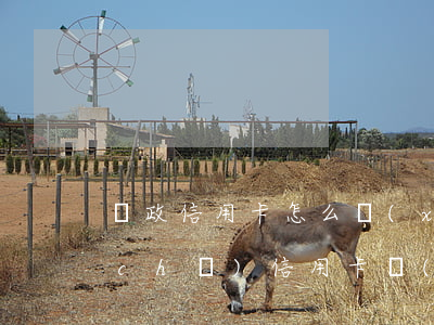 郵政信用卡怎么協(xié)商還款(郵儲(chǔ)信用卡協(xié)商還款)
