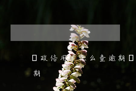 郵政信用卡怎么查逾期(郵政信用卡怎么查逾期)