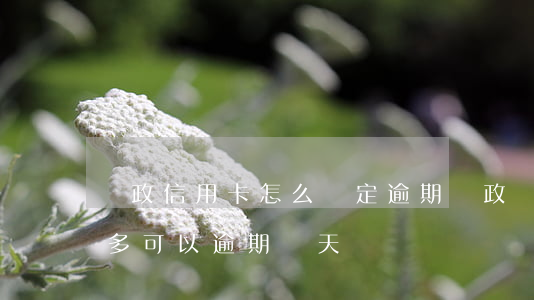 郵政信用卡怎么確定逾期(郵政儲蓄信用卡最多可以逾期幾天)