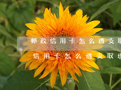 郵政信用卡怎么透支取現(xiàn)(郵政信用卡怎么透支取現(xiàn))