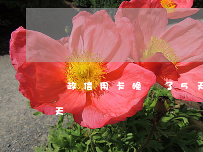 郵政信用卡晚還了5天算逾期嗎(郵政逾期兩天)