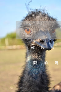 郵政信用卡最多透支多少年(郵政銀行卡有期限的嗎)