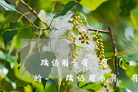郵政信用卡有沒有協(xié)商只還本金的-郵政信用卡有沒有協(xié)商只還本金的額度