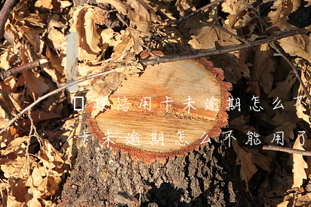 郵政信用卡未逾期怎么不能用了-郵政信用卡未逾期怎么不能用了呢