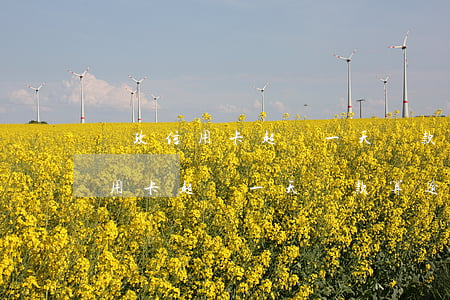 郵政信用卡超過一天還款算逾期嗎-郵政信用卡超過一天還款算逾期嗎怎么辦