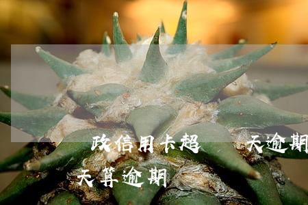 郵政信用卡超過幾天逾期(郵政信用卡超過幾天算逾期嗎)