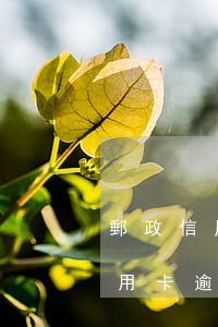 郵政信用卡逾期4個月能不能用了-郵政信用卡逾期4個月能不能用了呢