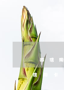 郵政信用卡逾期5天，已還清最低還款-郵政信用卡逾期5天,已還清最低還款怎么辦