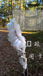 郵政信用卡逾期5天  會有什么影響-郵政信用卡逾期5天 會有什么影響嗎