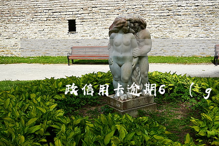郵政信用卡逾期6個(gè)月怎么辦