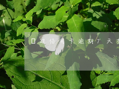 郵政信用卡逾期7天有事嗎