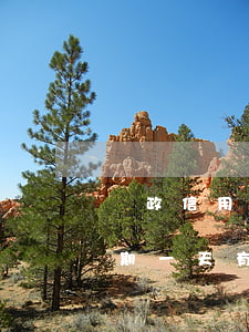 郵政信用卡逾期7天還款(郵政銀行卡還款逾期一天有影響嗎)