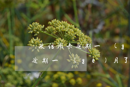 郵政信用卡逾期一個(gè)月(郵政信用卡逾期一個(gè)月了怎么辦)