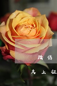 郵政信用卡逾期一個星期(郵政銀行卡逾期多久上征信)