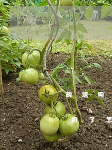 郵政信用卡逾期一個月了(郵政信用卡逾期一個月了怎么辦)