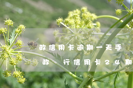 郵政信用卡逾期一天手續(xù)費400 郵政銀行信用卡24期手續(xù)費