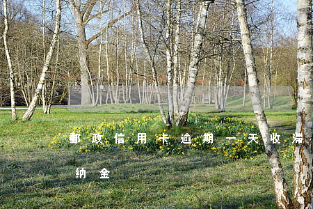 郵政信用卡逾期一天收滯納金(信用卡 逾期 滯納金)