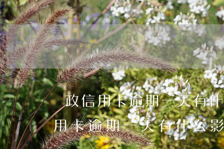 郵政信用卡逾期一天有什么影響嗎-郵政信用卡逾期一天有什么影響嗎知乎