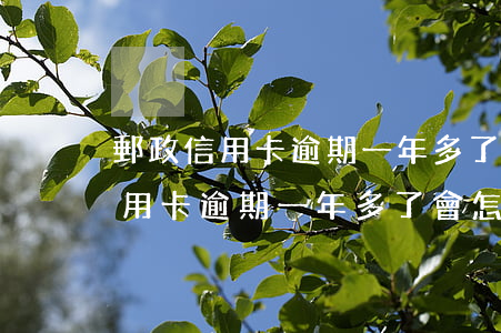 郵政信用卡逾期一年多了會怎么樣-郵政信用卡逾期一年多了會怎么樣嗎