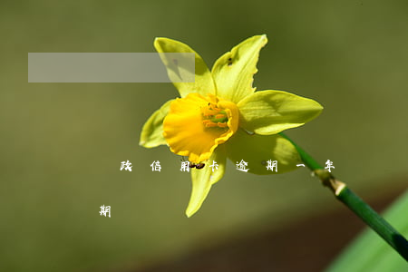 郵政信用卡逾期一年說來找我-郵政銀行逾期