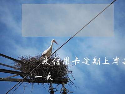 郵政信用卡逾期上岸案例(郵政信用卡逾期了一天)