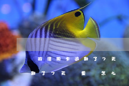 郵政信用卡逾期了7天嚴重嗎(郵政信用卡逾期了7天嚴重嗎怎么辦)