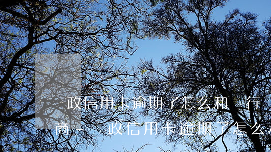 郵政信用卡逾期了怎么和銀行協(xié)商-郵政信用卡逾期了怎么和銀行協(xié)商還款