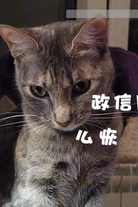 郵政信用卡逾期了怎么恢復(郵政貸款逾期怎么恢復征信)