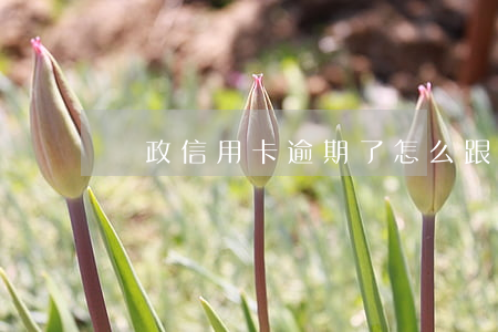 郵政信用卡逾期了怎么跟銀行協商解決