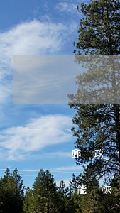 郵政信用卡逾期停用(郵政信用卡逾期停用還能恢復(fù)嗎)