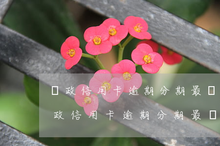 郵政信用卡逾期分期最長(zhǎng)(郵政信用卡逾期分期最長(zhǎng)多久)