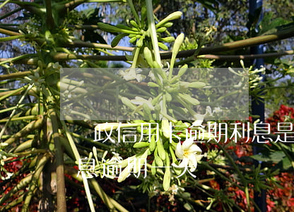 郵政信用卡逾期利息是多少(郵政銀行貸款利息逾期一天)
