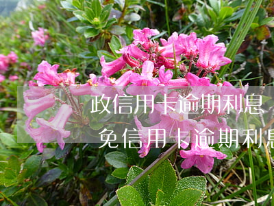 郵政信用卡逾期利息減免掉嗎-向銀行申請減免信用卡逾期利息怎么申請