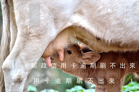 郵政信用卡逾期刷不出來(lái)(郵政信用卡逾期刷不出來(lái))