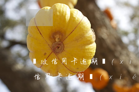 郵政信用卡逾期協(xié)商還款嗎(郵政信用卡逾期協(xié)商還款嗎)