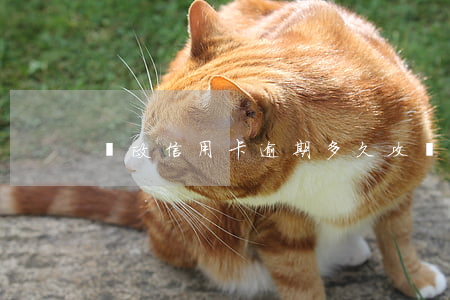 郵政信用卡逾期多久攻擊通訊錄